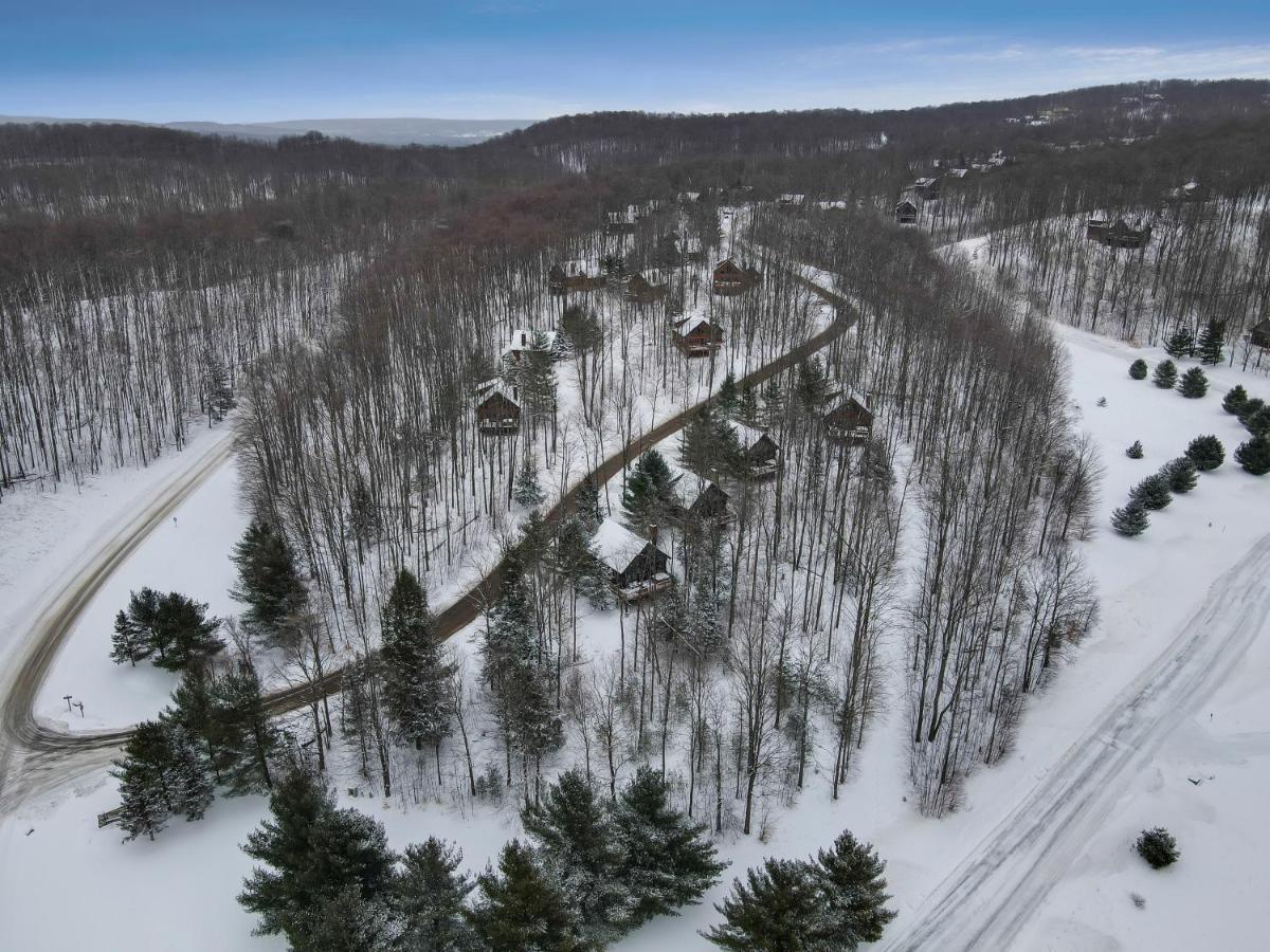 801 Mountain Cabin Boyne Falls Exterior photo
