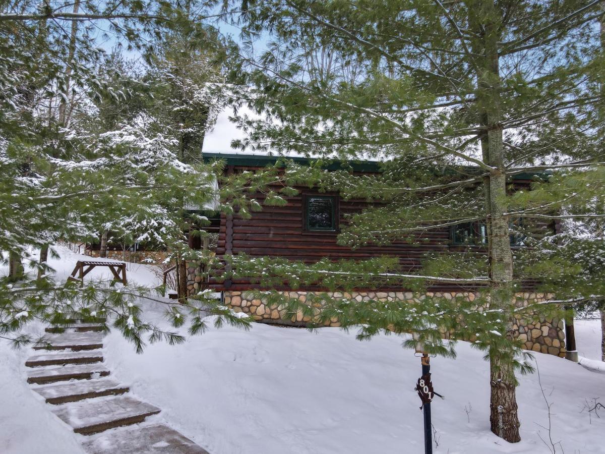 801 Mountain Cabin Boyne Falls Exterior photo
